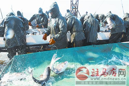 luf1412251.jpg