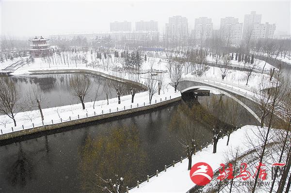 zhangz150186.jpg