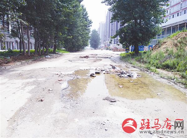 wub1507190.jpg