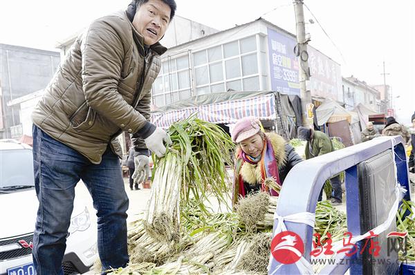 guols1601175.jpg
