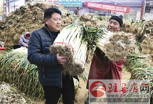 wub1601203.jpg