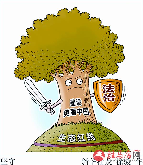 zhangxj160613.jpg