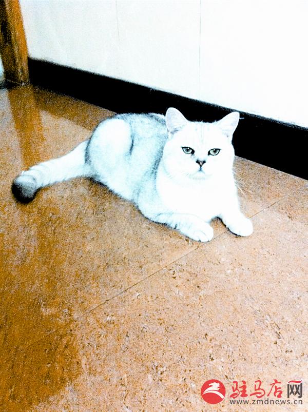 wangk1503108.jpg