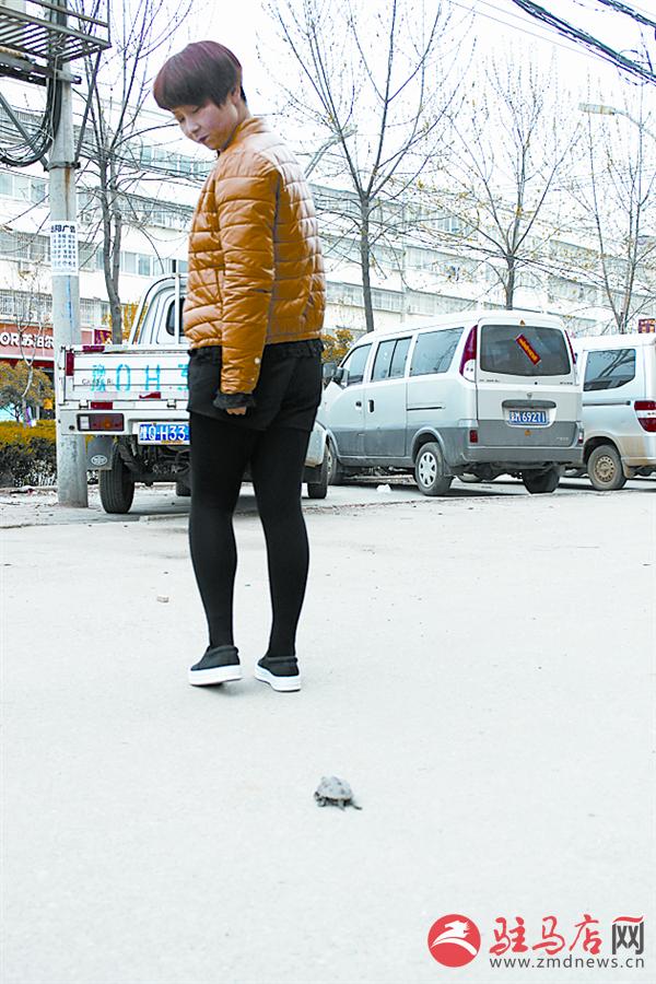 wangk1503107.jpg