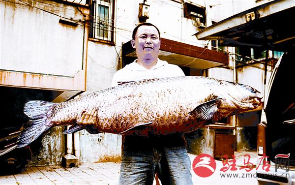 yuanzh150426.jpg