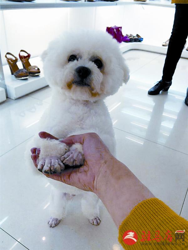 yuanzh1504163.jpg