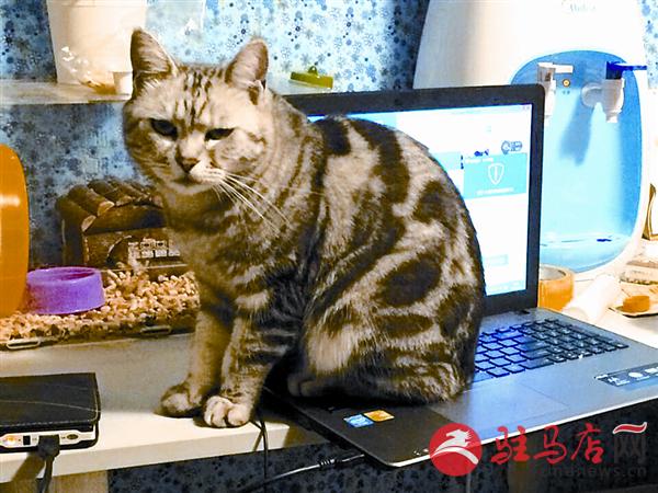 yuanzh150577.jpg