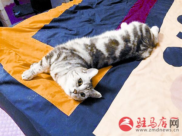 yuanzh1505801.jpg