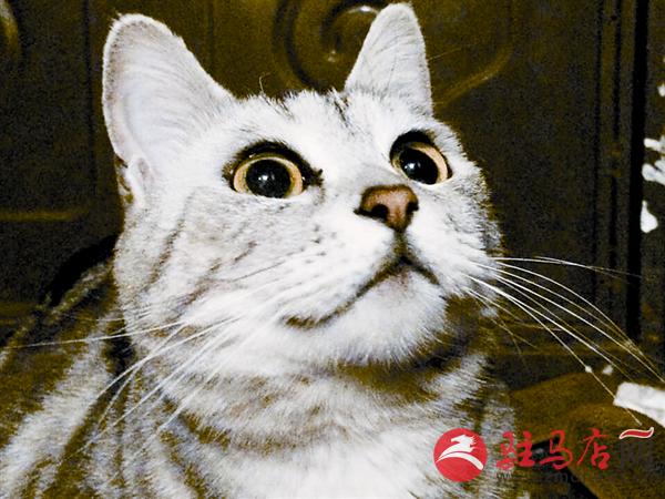 yuanzh150579.jpg