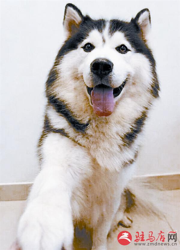 yuanzh150635.jpg