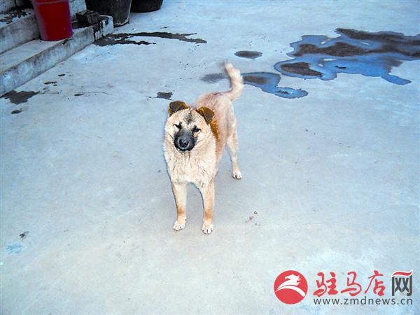 wangk1506154.jpg