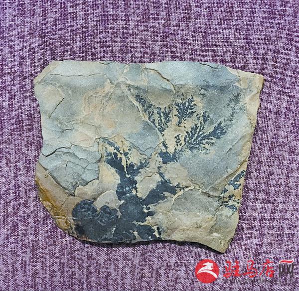 wangk1507111.jpg