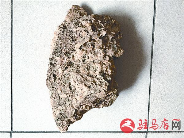 wangk1507114.jpg