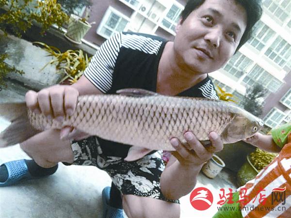 yuanzh150794.jpg