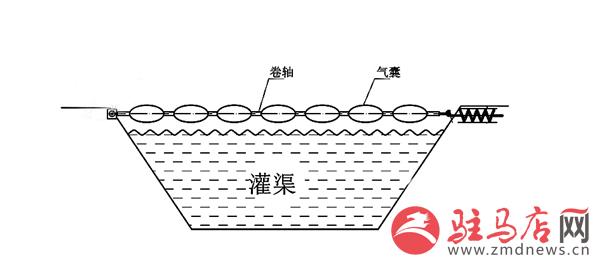 wangk150862.jpg