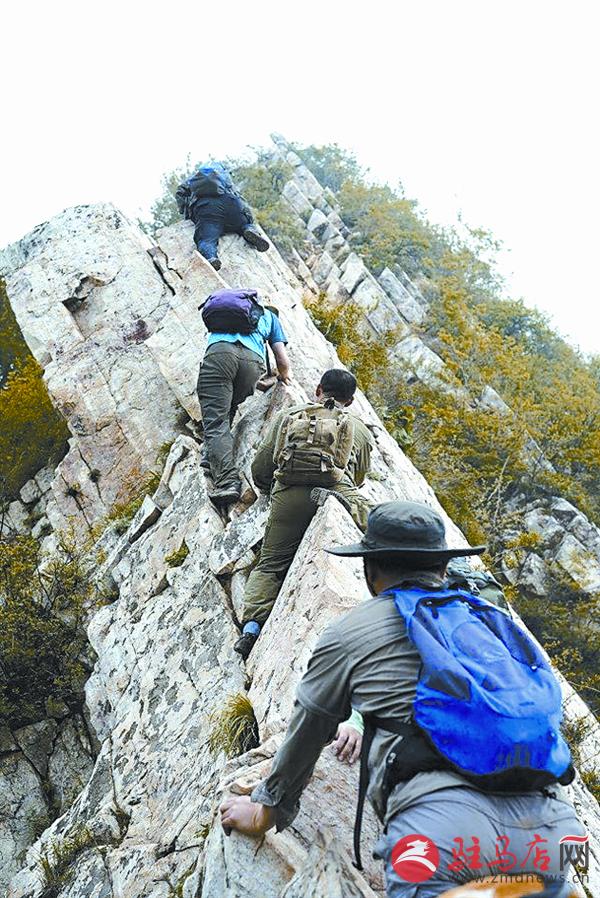 wangk150949.jpg