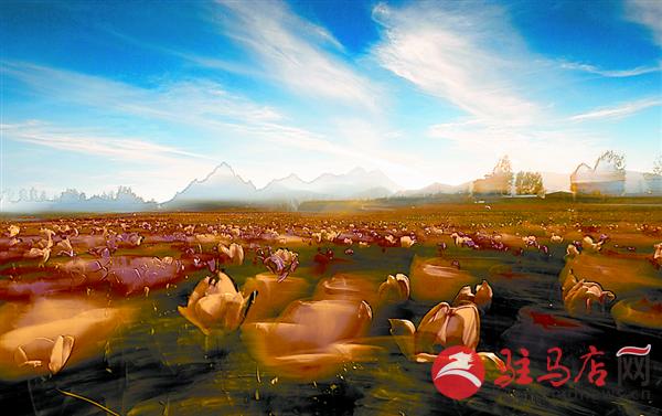 yuanzh150940.jpg