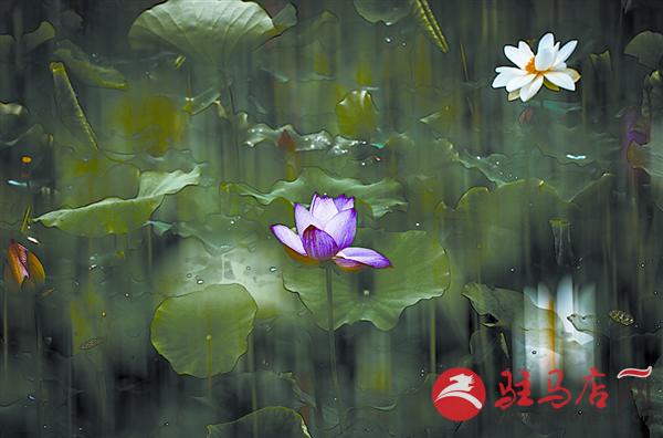 yuanzh150938.jpg
