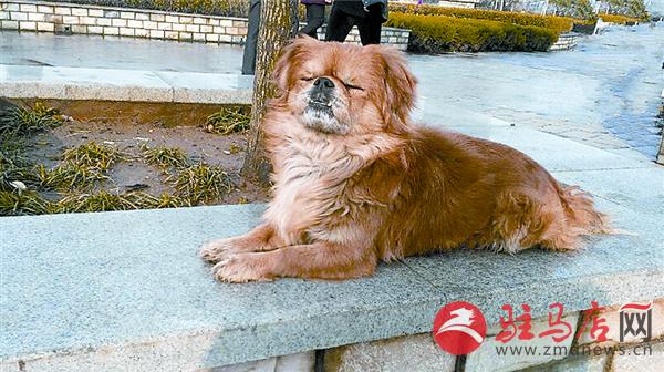 yuanzh150991.jpg