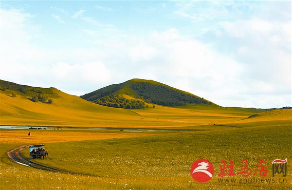 yuanzh15108.jpg