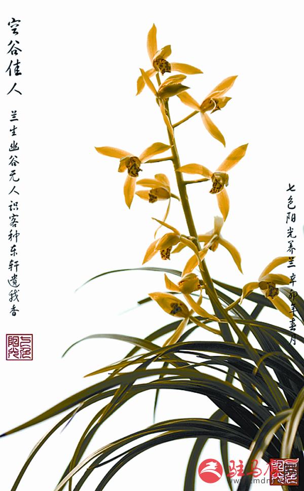 yuanzh15106.jpg