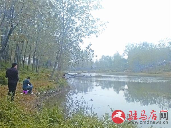 yuanzh151161.jpg