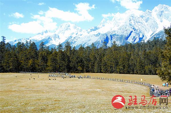 yuanzh1511851.jpg