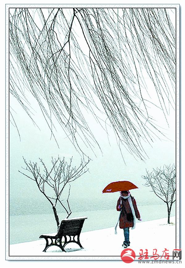 yuanzh151188.jpg