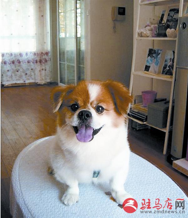 yuanzh151228.jpg