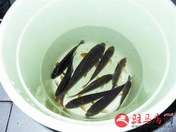 wangk151238.jpg