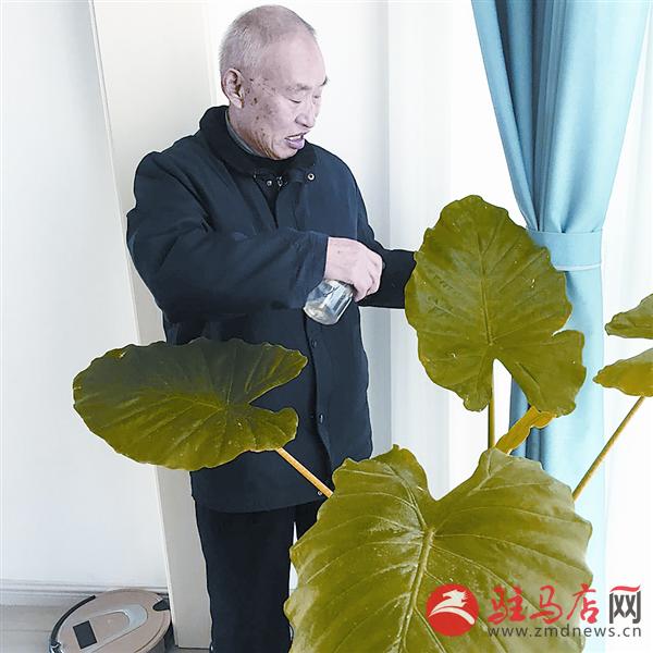 yuanzh1512117.jpg