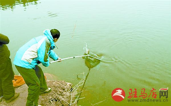 wangk160162.jpg