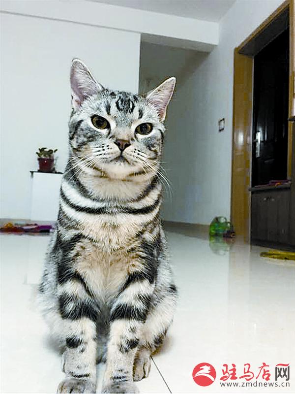 yuanzh160158.jpg