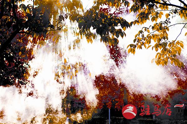 yuanzh160184.jpg