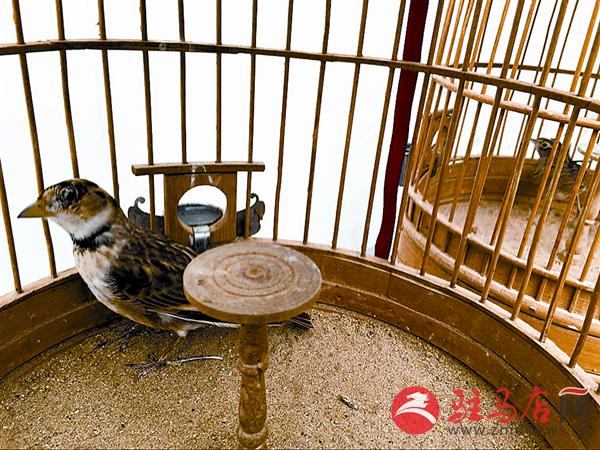 yuanzh160235.jpg