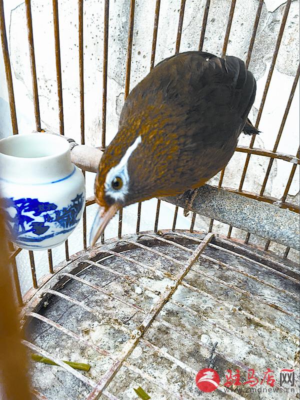 yuanzh160236.jpg