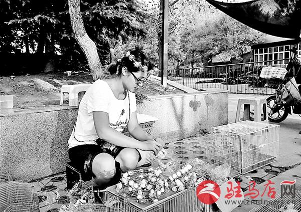 yuanzh160444.jpg