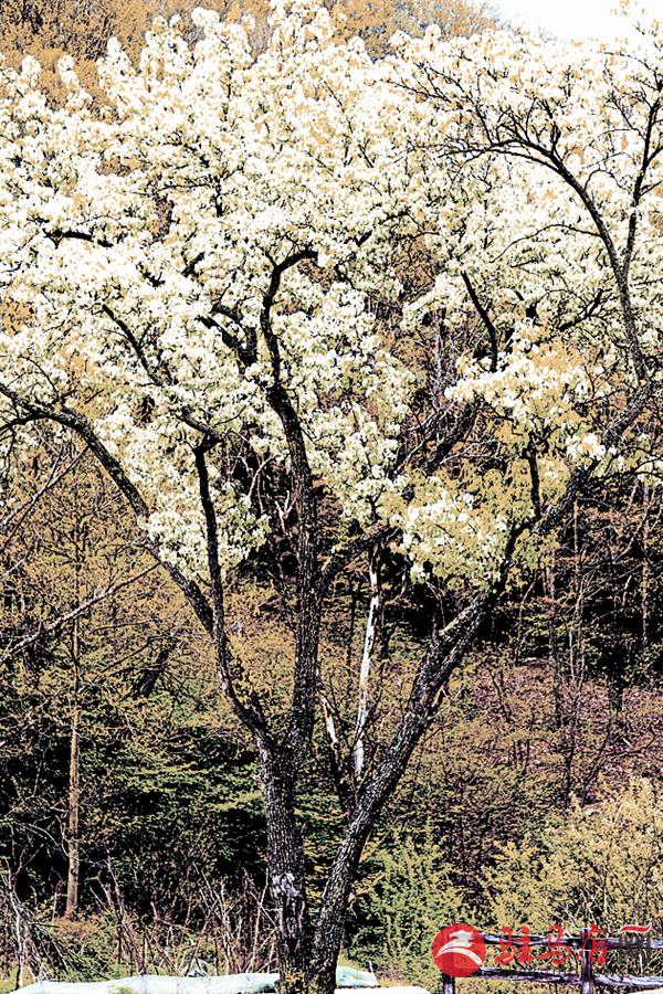 yuanzh16050.jpg