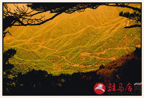 yuanzh16052.jpg