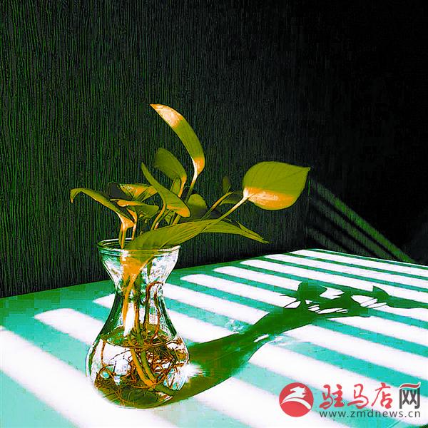 wangk1605112.jpg