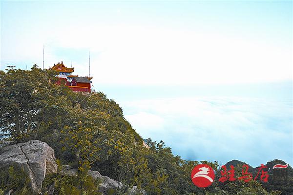 yuanzh16088.jpg