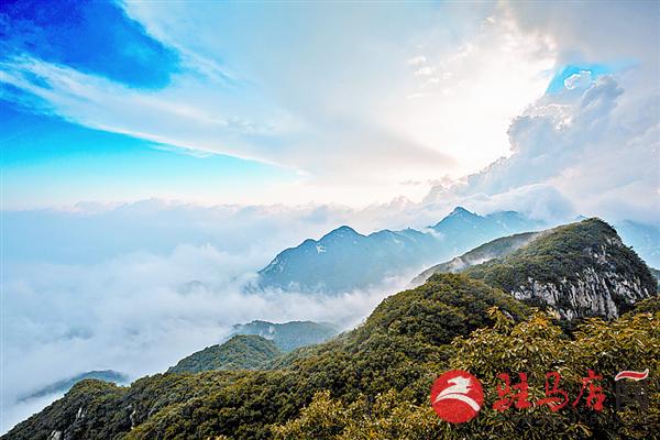 yuanzh160811.jpg