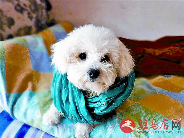 yuanzh161156.jpg