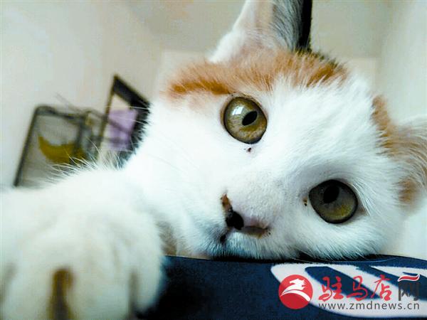 yuanzh161155.jpg