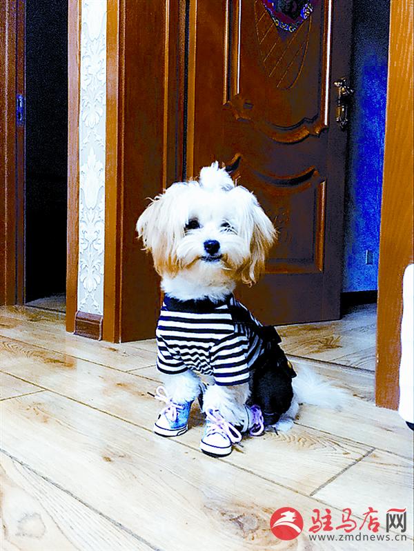 yuanzh161157.jpg