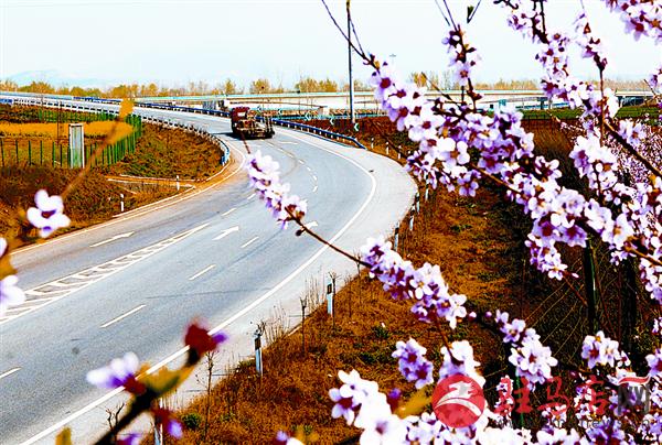 yuanzh161195.jpg