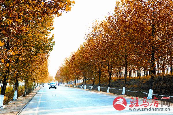 yuanzh161196.jpg