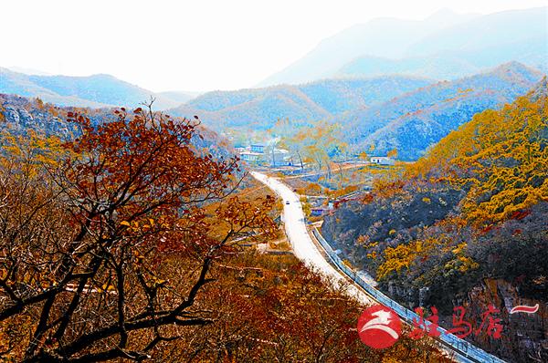 yuanzh161199.jpg