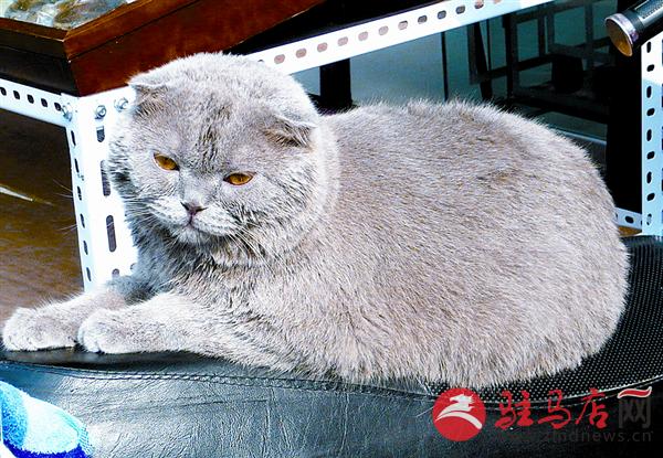 wangk16127.jpg