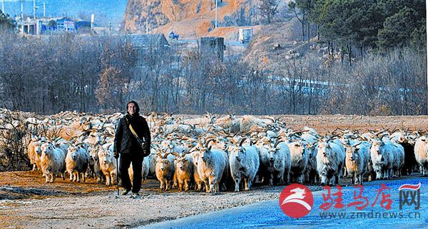wangk161237.jpg